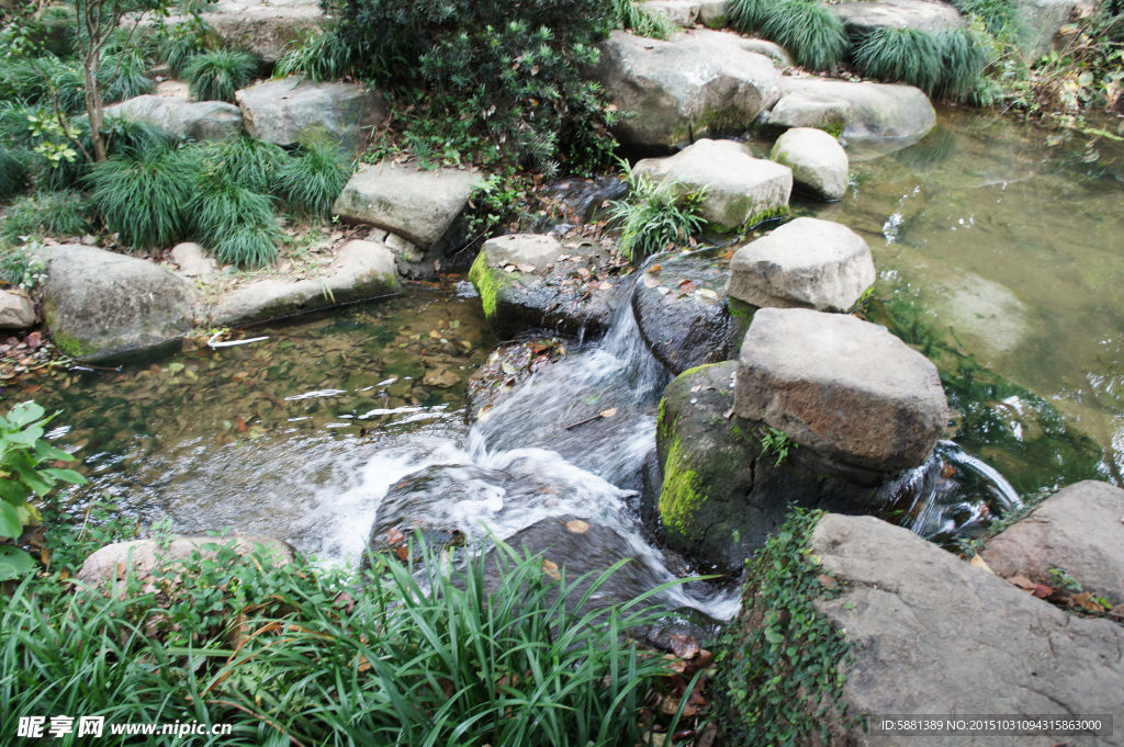 小溪  流水