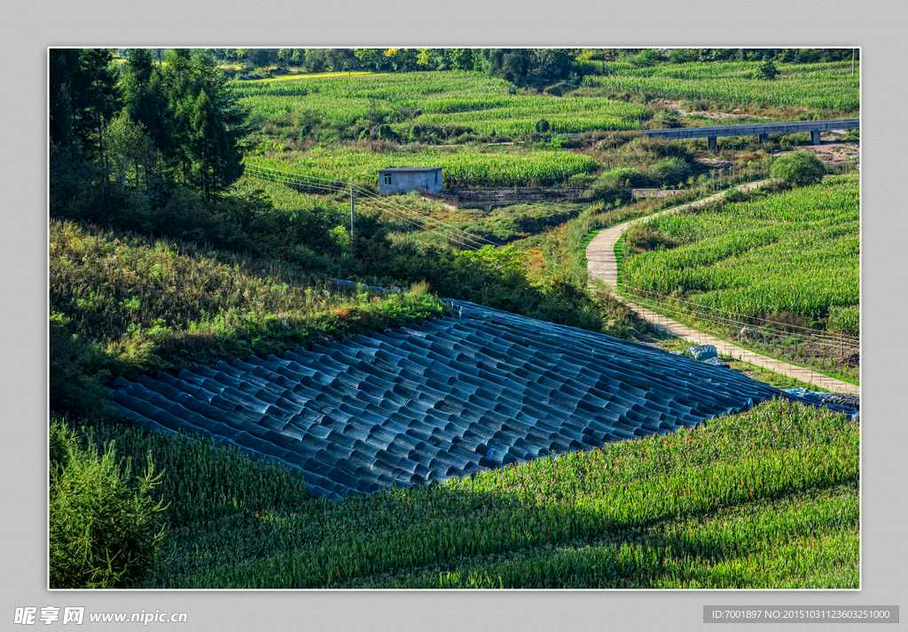 乡村风景