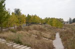 郊野公园