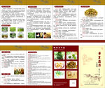 铁皮石斛折页 手册