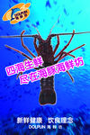 海鲜店