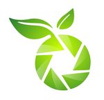 茶叶LOGO