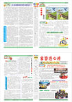 报纸