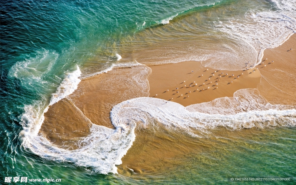 绿海浪花
