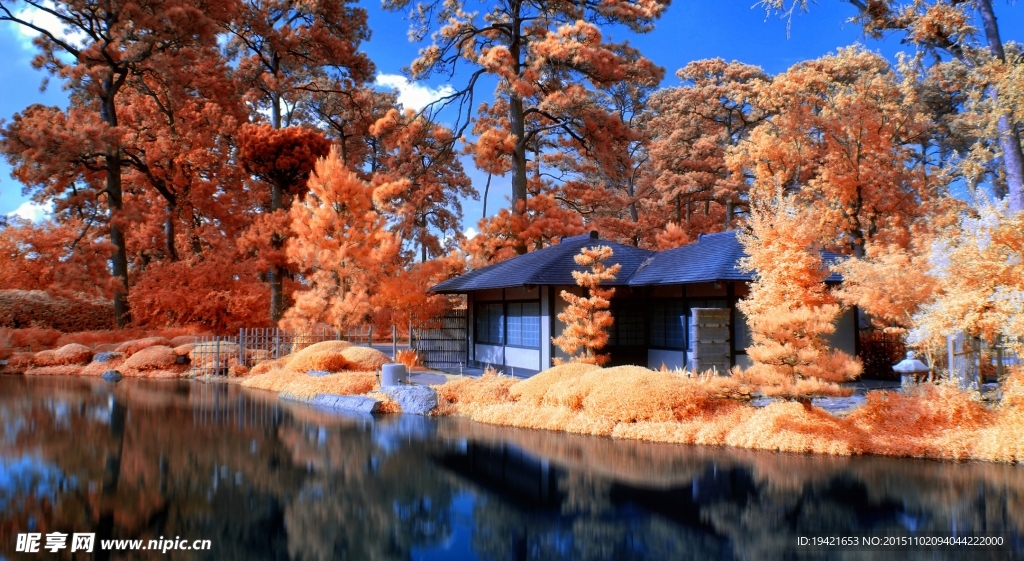 日本湖边庭院