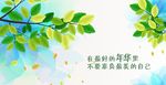 叶子 树叶