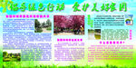 创建国家园林城市
