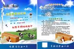 牛奶DM单