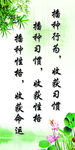 播种行为校园班级文化展板