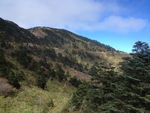 神农架高山景色
