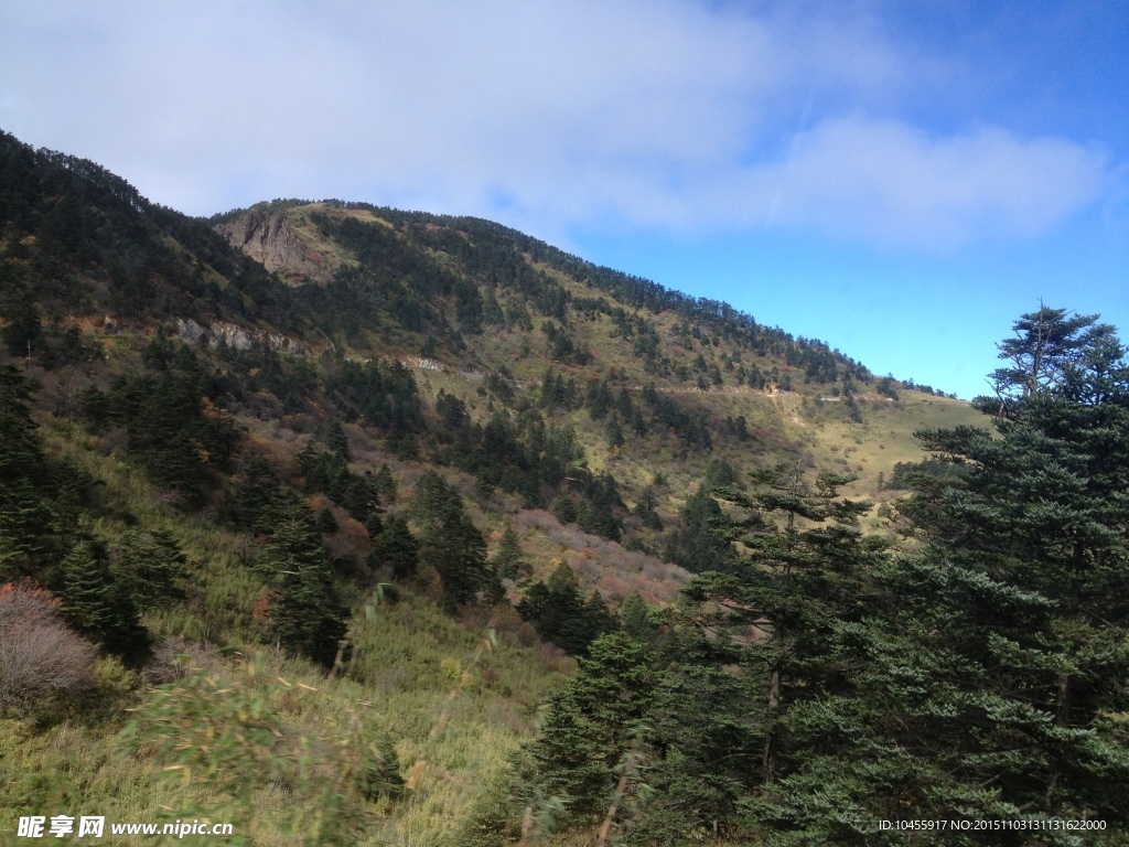 神农架高山景色