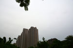 天空树枝城市住宅