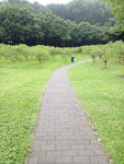 路