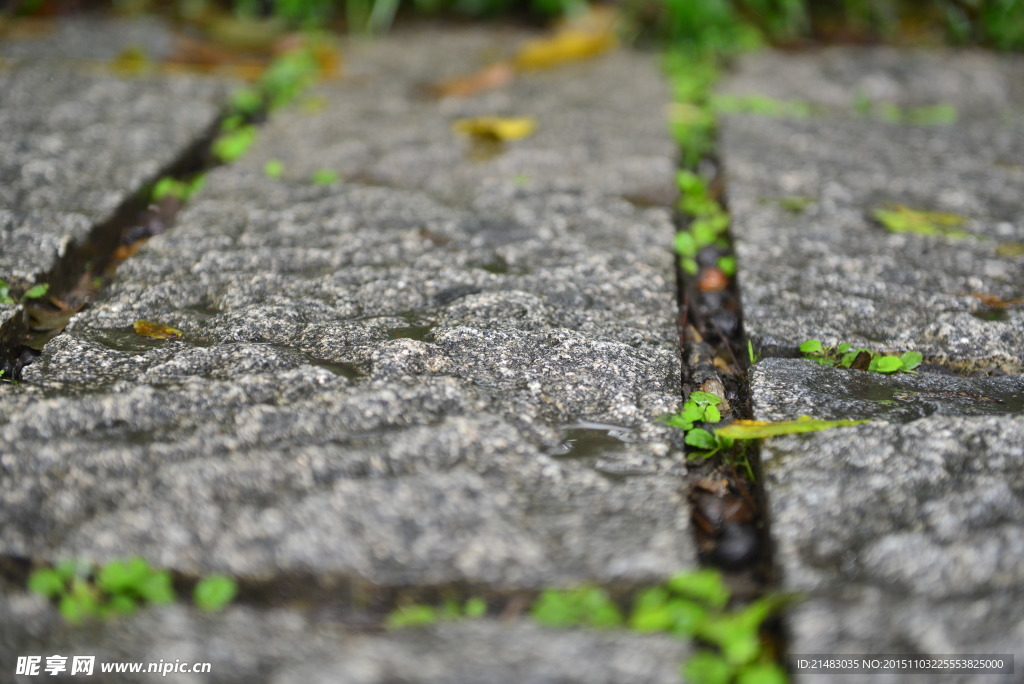 青石道路 微距