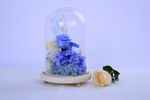 永生花整体效果
