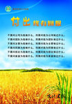 付出终有回报