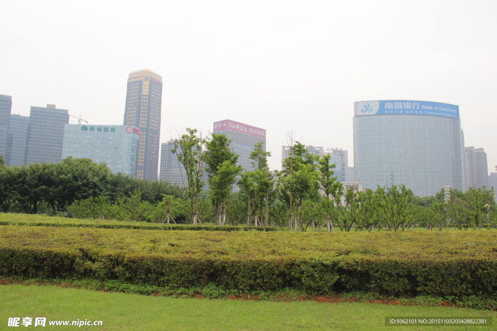 街景  绿色  草坪