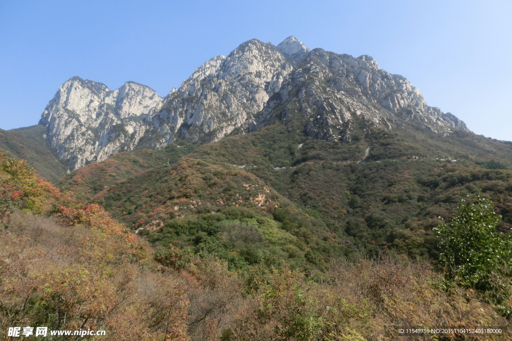 少室山秋景