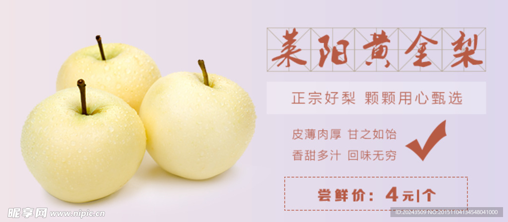 黄金梨商品海报