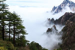 云漫黄山