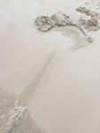 沙滩