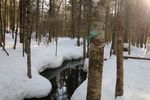 雪原中的小溪