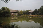 北京大学校园园林摄影
