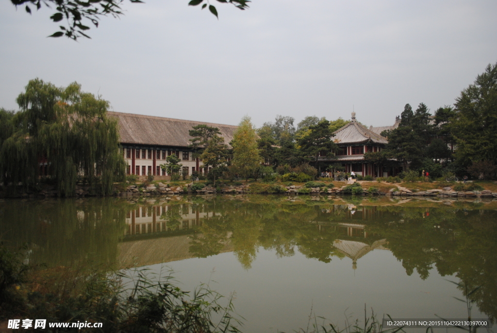 北京大学校园园林摄影