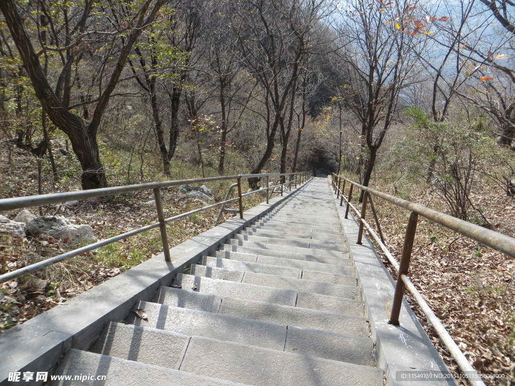 山路