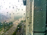 水珠 雨滴 露珠 雨水 雨季