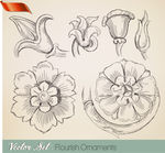 花卉素描矢量素材