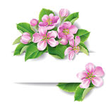 粉色花朵装饰矢量素材