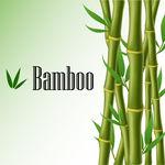 竹子背景矢量素材