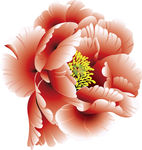 牡丹花矢量素材