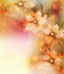 花卉