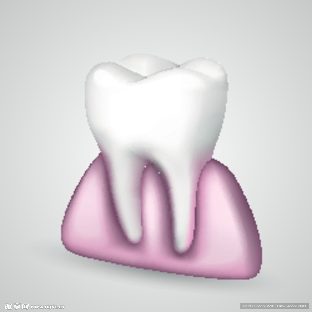 牙齿与牙龈设计矢量素材