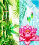 夏荷翠竹清新矢量素材