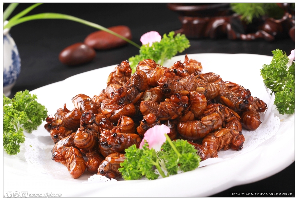香煎金蝉