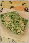 豆丝香椿苗