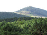 山林
