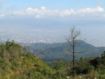 青山景观