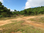 山路