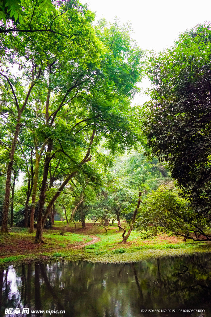 杭州植物园宁静水池