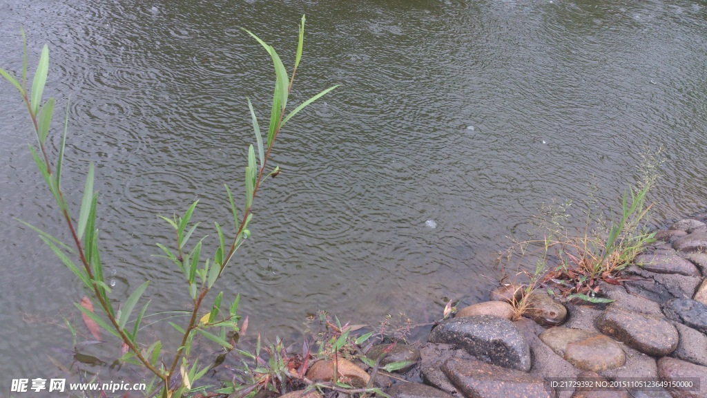 雨天河岸