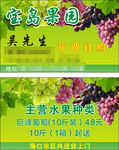 水果 名片