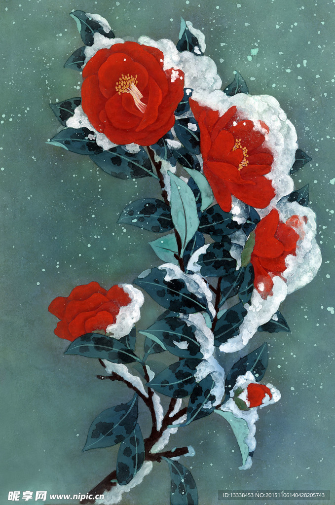 雪梅