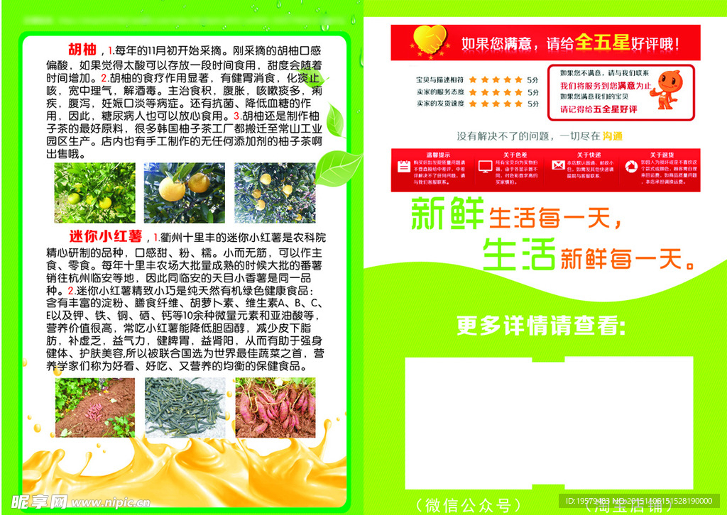 水果蔬菜产品介绍促销宣传页