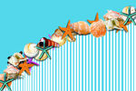 海星墙