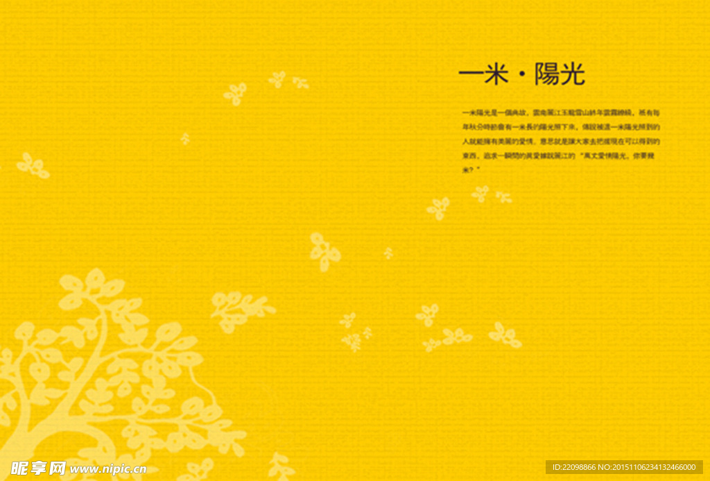 一米阳光封面