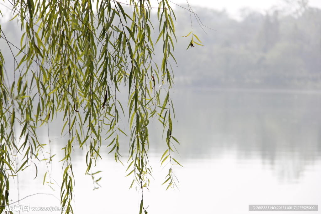 山水 简约 古 建筑 垂柳